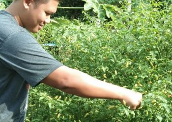 Ketum DPP LDII : Ketahanan Pangan Berkelanjutan Vital Bagi Stabilitas Bangsa