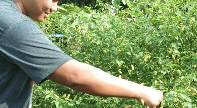 Ketum DPP LDII : Ketahanan Pangan Berkelanjutan Vital Bagi Stabilitas Bangsa