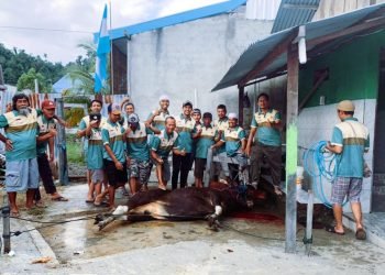 Tembus angka 812 Juta, begini cara warga LDII Nabire Berkurban
